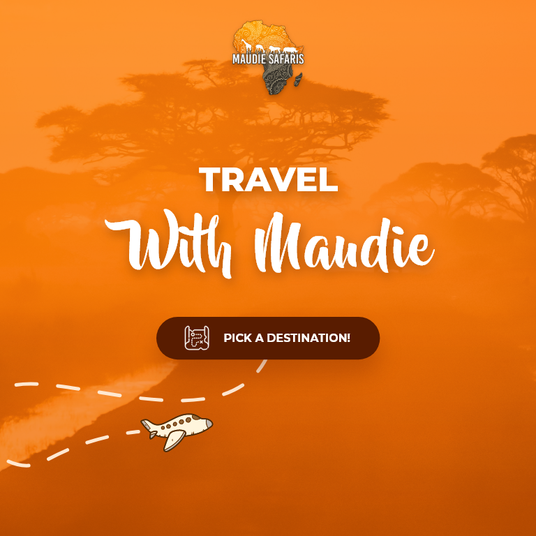 Maudie Website thumbnail